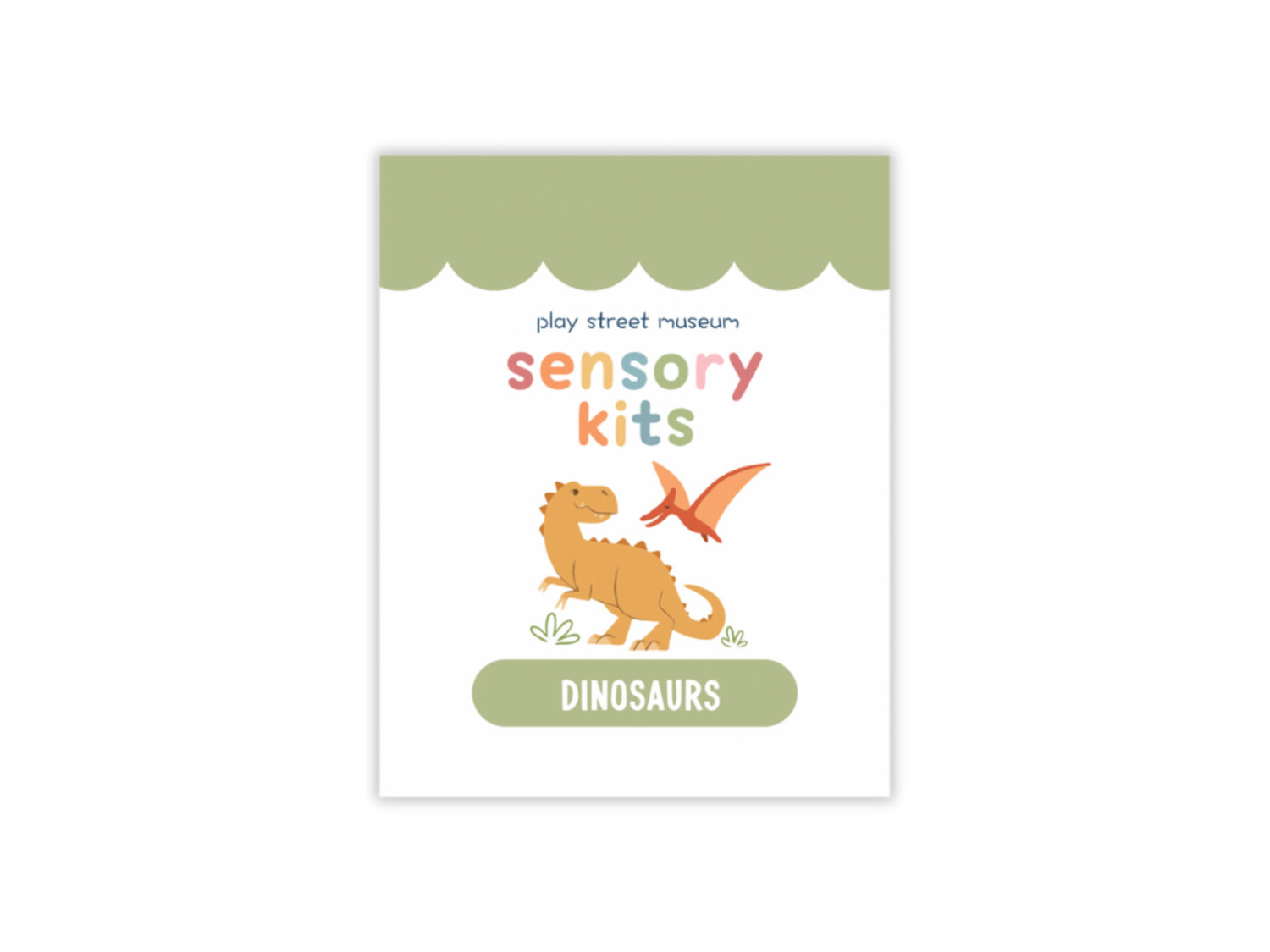 PSM Dino Sensory Kit